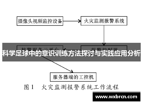 科学足球中的意识训练方法探讨与实践应用分析